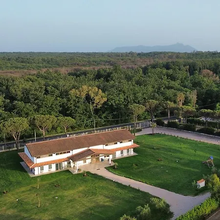 Padua